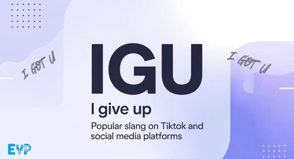 IGU Meaning