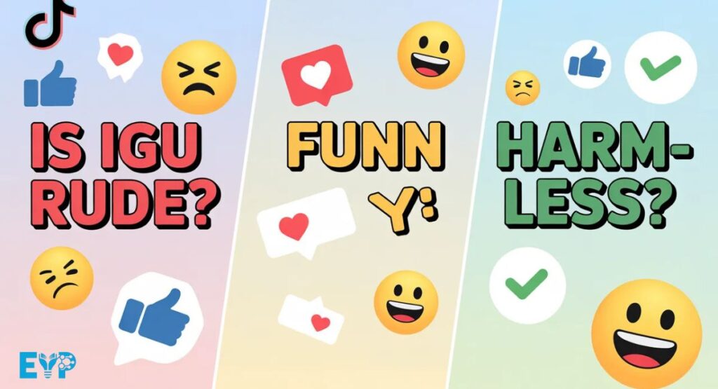 IGU Rude Funny or HarmlessTikTok and Social Media
