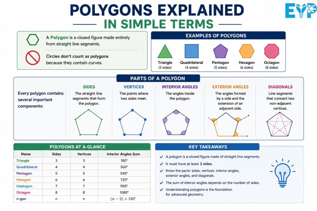 Polygons Explained in Simple Terms