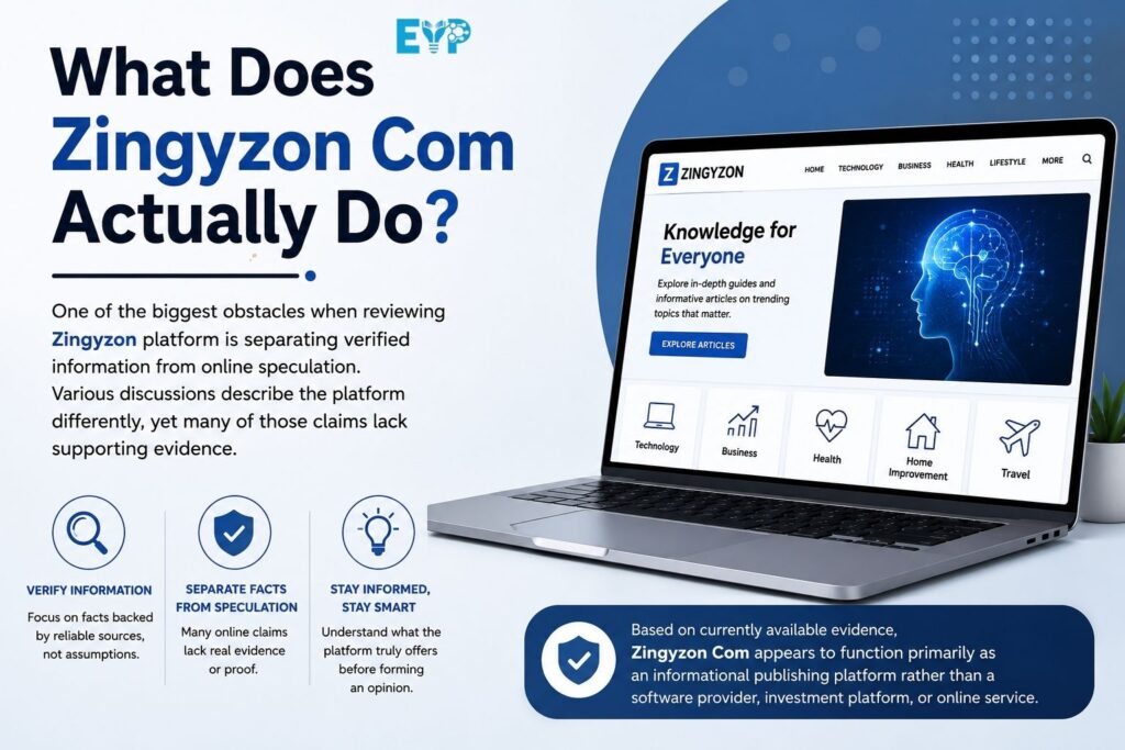 What Does Zingyzon Com Actually Do